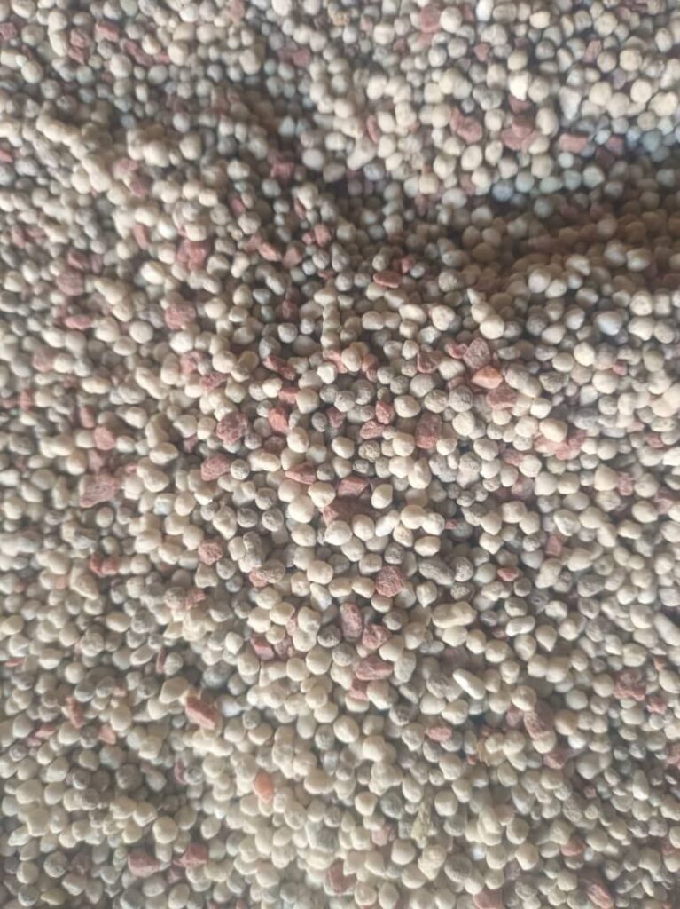 photo_2026-02-03 22.38.53