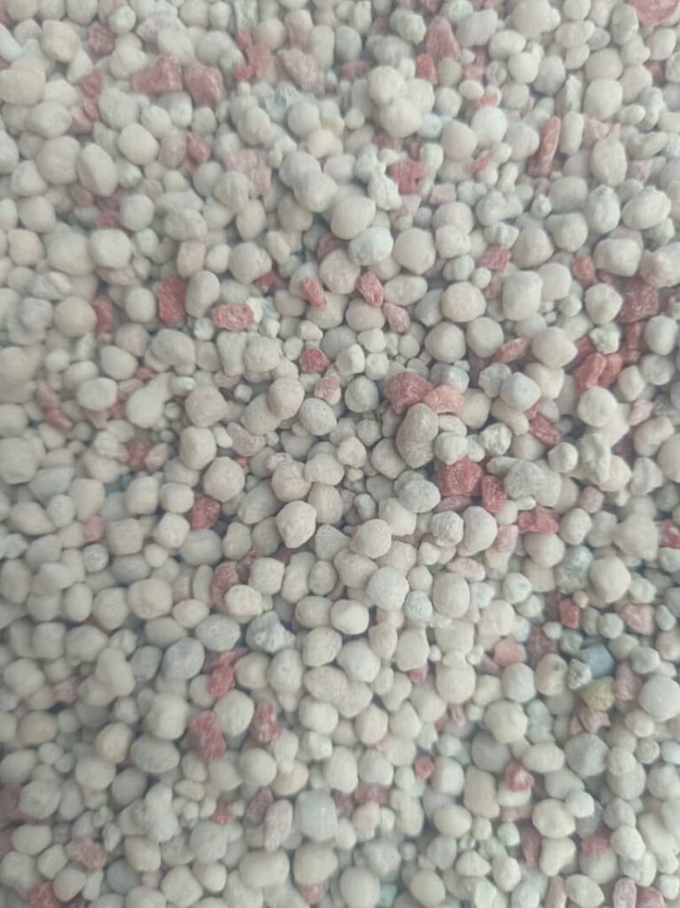 photo_2026-02-03 22.39.02