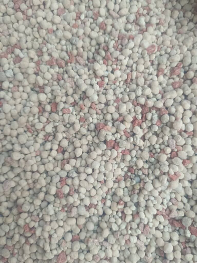 photo_2026-02-03 22.39.05